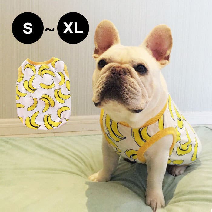 犬服 SS わんこの普段着 フルーツカシェモア ベージュ 犬服 M わんこの
