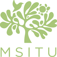 Msitu