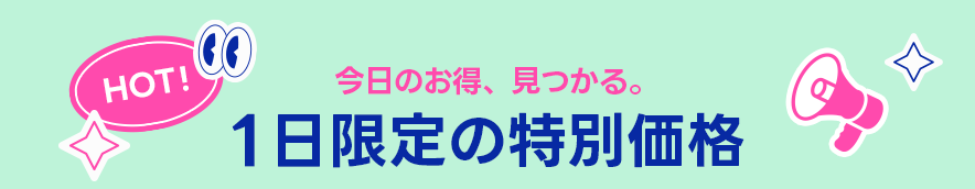 1日限定特価