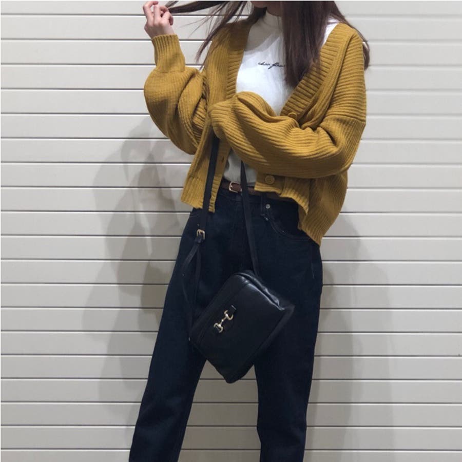 SHOPLIST�̃A�C�e�����g����WEGO�̃R�[�f�B�l�[�g(4188)