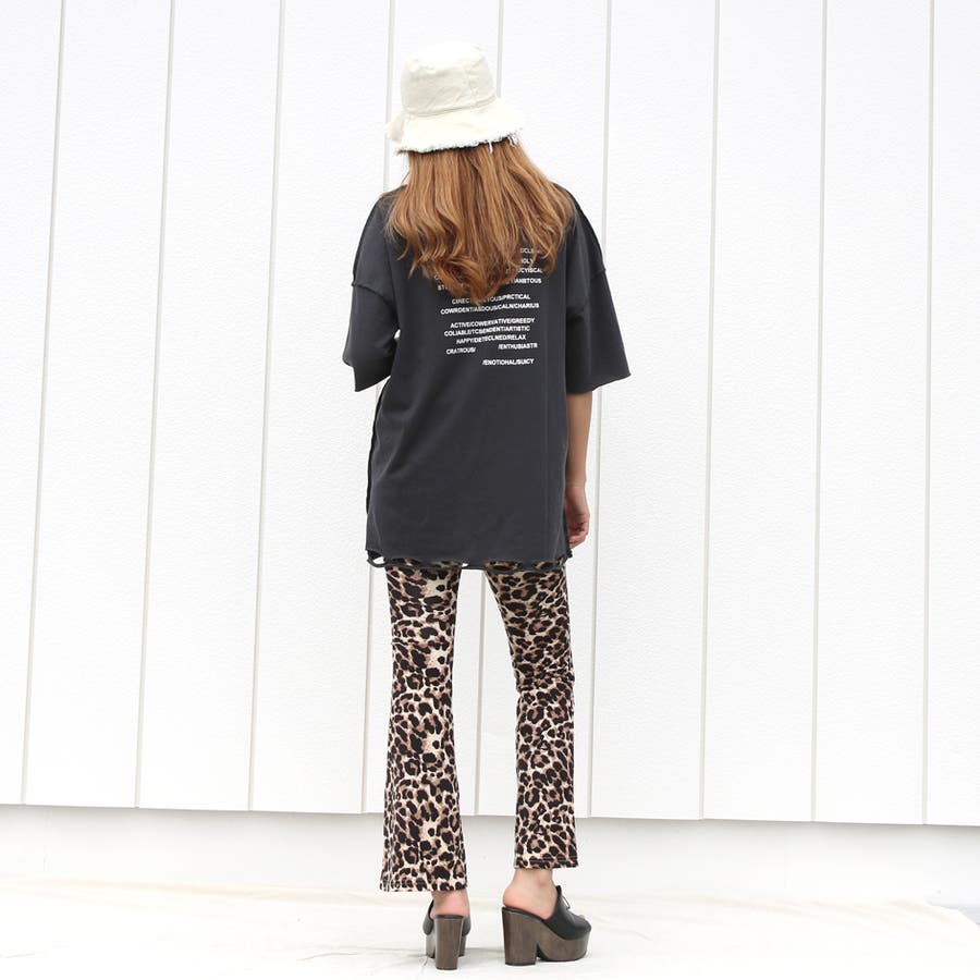 SHOPLIST̃ACegnon-hedge staff̃R[fBl[g(6021)