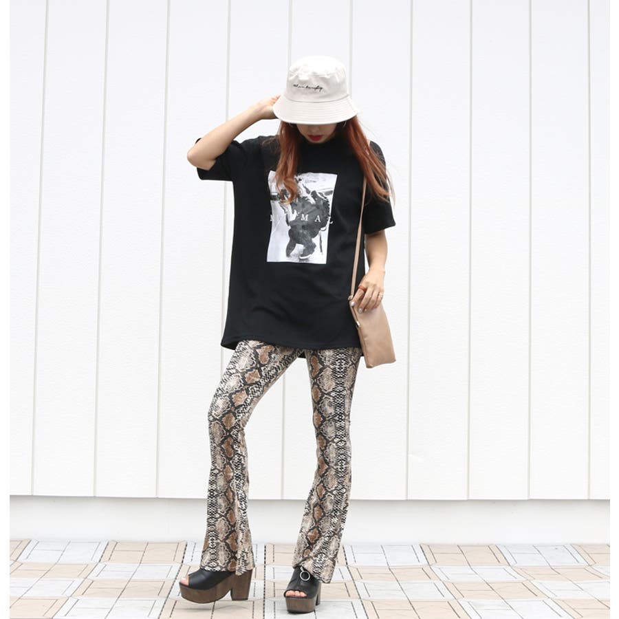 SHOPLIST̃ACegnon-hedge staff̃R[fBl[g(6222)